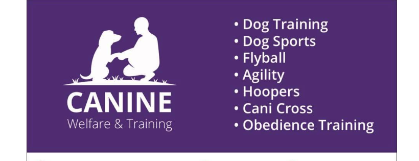 Canine welfare and training