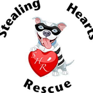 Stealing Hearts rescue Logo