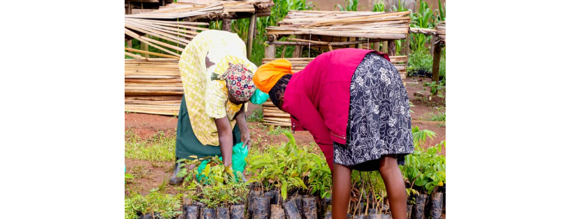 STEAM THE LIGHT FOR AFRICAN COMMUNITIES NET WORK