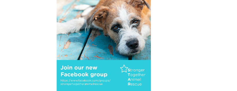 Stronger Together Animal rescue