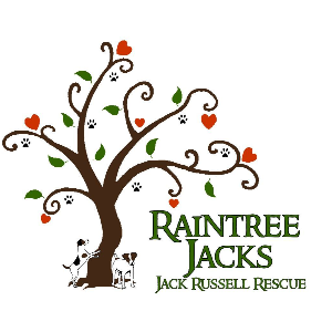 Raintree Jacks Jack Russell Rescue Logo