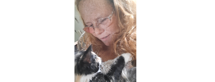 Kimmy's Kitty Corner