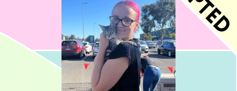 Paws Hillbank Haven Rescue