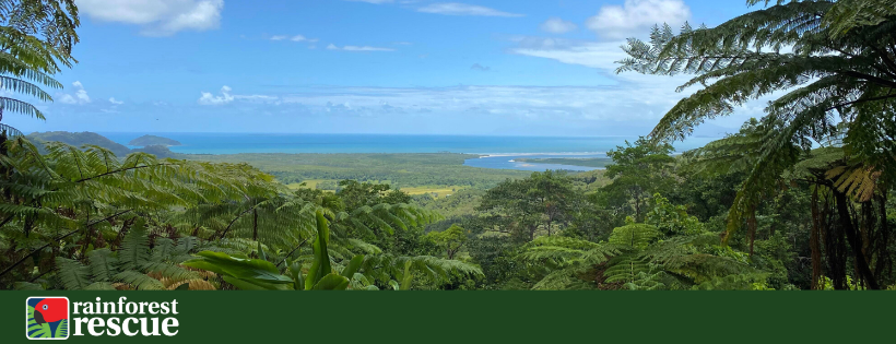 Rainforest Rescue
