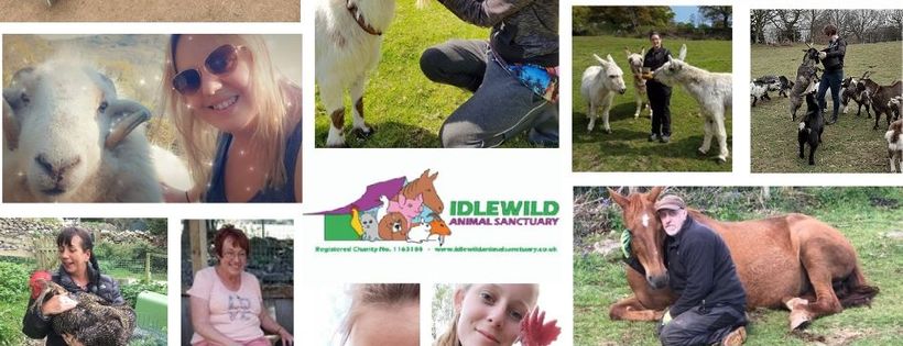 Idlewild Animal Sanctuary