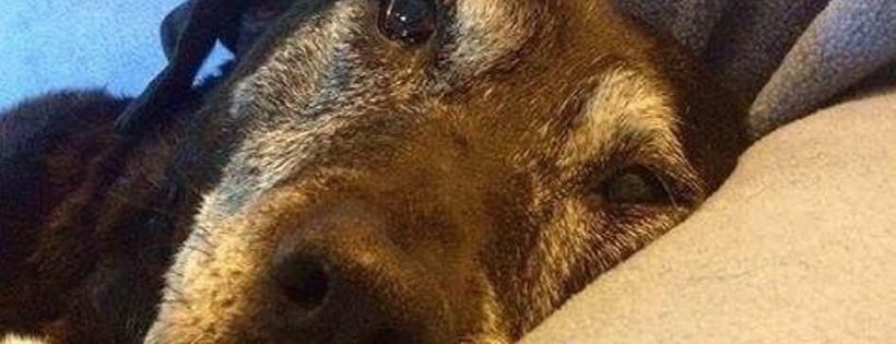 Rescuer's rescue