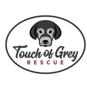 Touch of Grey rescue Logo