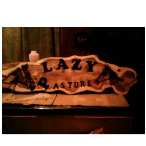 Lazy Pastures Equine Rescue Logo