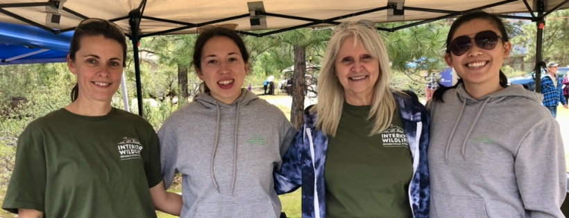 Interior Wildlife Rehabilitation Society