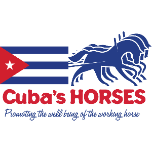 Cuba's Horses Inc