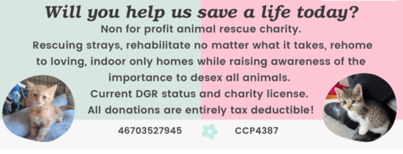 Paws Hillbank Haven Rescue