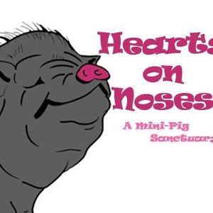 Hearts On Noses Sanctuary