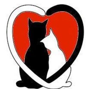Kitties for keeps rescue Logo