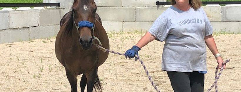 Beech Brook Farm Equine Rescue