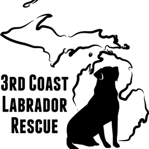 3rd Coast Labrador Rescue Logo
