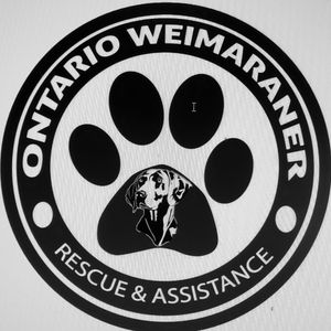 Ontario Weimaraner Rescue and Assistance Logo