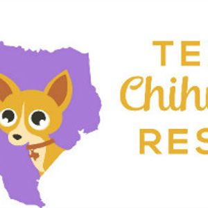 Texas Chihuahua Rescue, Inc Logo