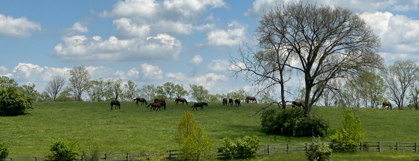 Full Circle Farm Corporation