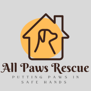 All Paws Rescue