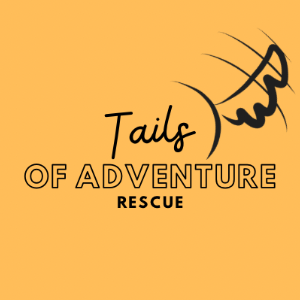 Tails of Adventure Rescue Logo