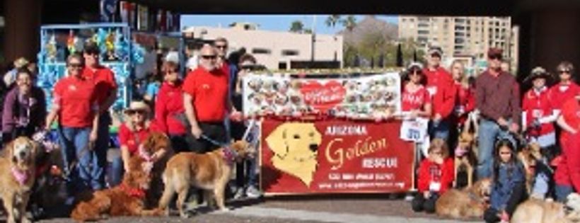 Arizona Golden Rescue