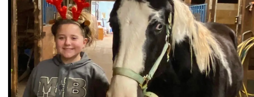 Equines & Energy