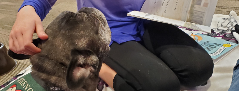 Healing Heart Therapy Dogs, Inc.