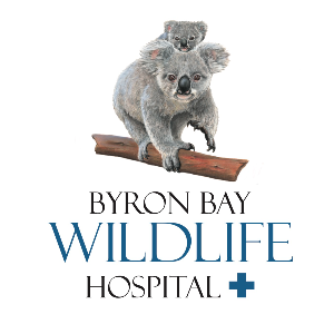 BYRON BAY WILDLIFE HOSPITAL Logo