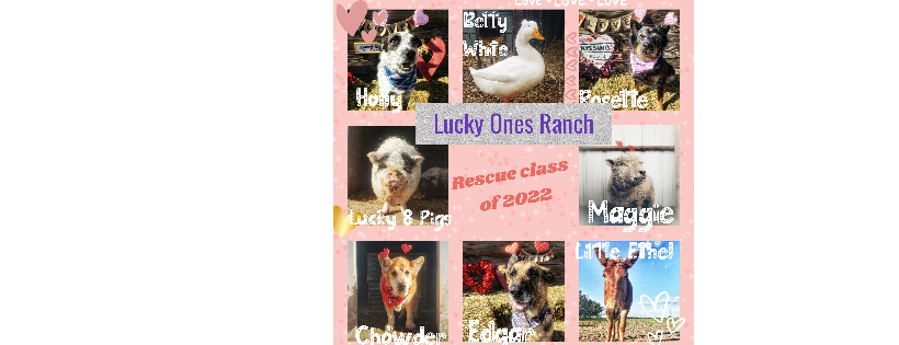 Lucky Ones Ranch