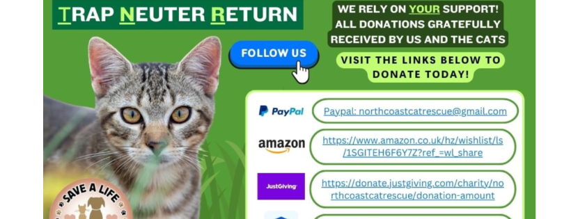 North Coast Cat Rescue