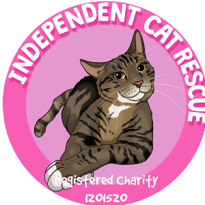 Independent Cat Rescue Prestwich