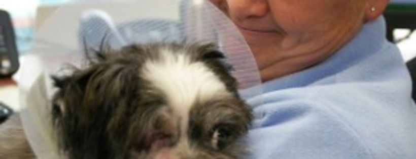 Fredericton SPCA