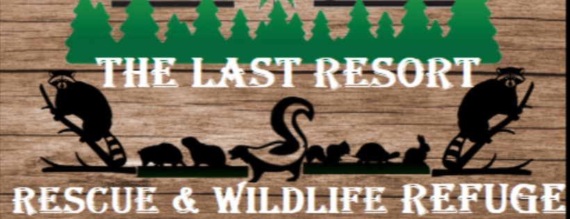 The Last Resort Rescue and Wildlife refuge