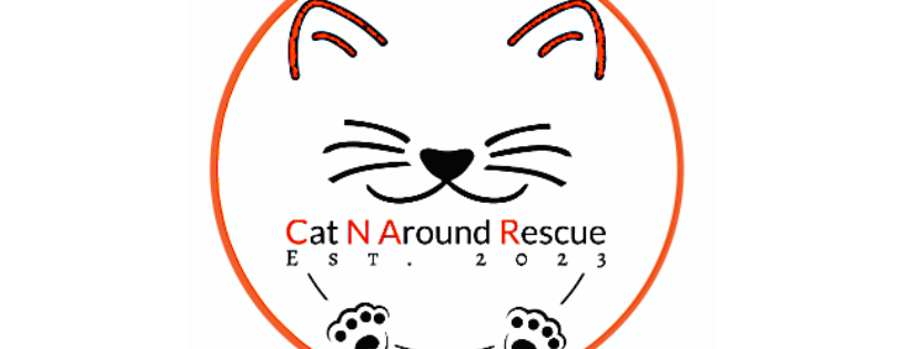 CAT N AROUND RESCUE