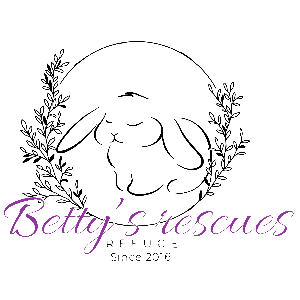 Betty’s Rescues Logo