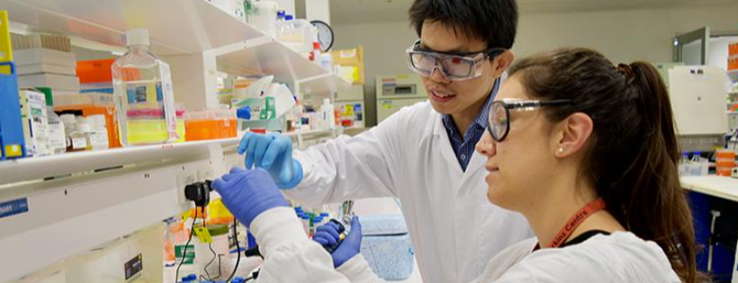Centenary Institute Medical Research Foundation