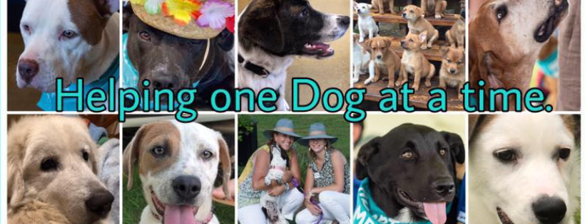 Belle's Buds Rescue