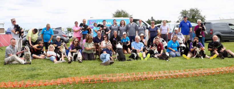Ainmhithe Animal Rescue