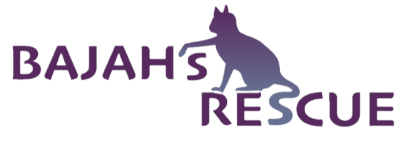 Bajah's Rescue