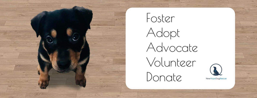 New Hope Dog Rescue
