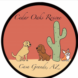 Cedar oaks equine rescue Logo