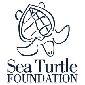 Sea Turtle Foundation