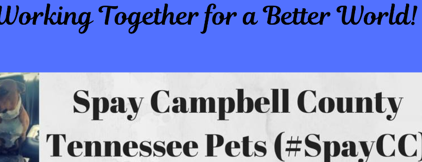 Spay Campbell County Tennessee  Pets