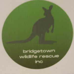 Bridgetown Wildlife Rescue Inc Logo