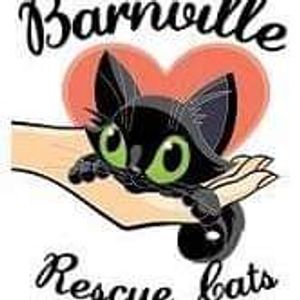 Barnville Rescue Cats Incorporated Logo