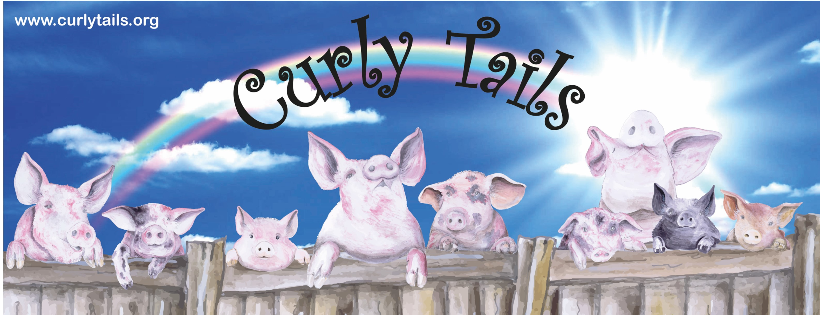 Curly Tails Ltd