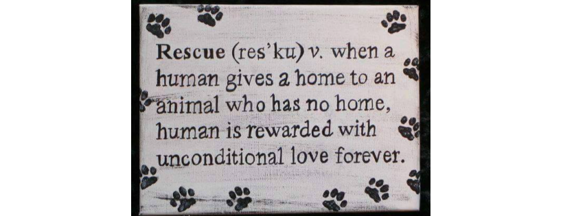 Stover Animal Rescue, Inc