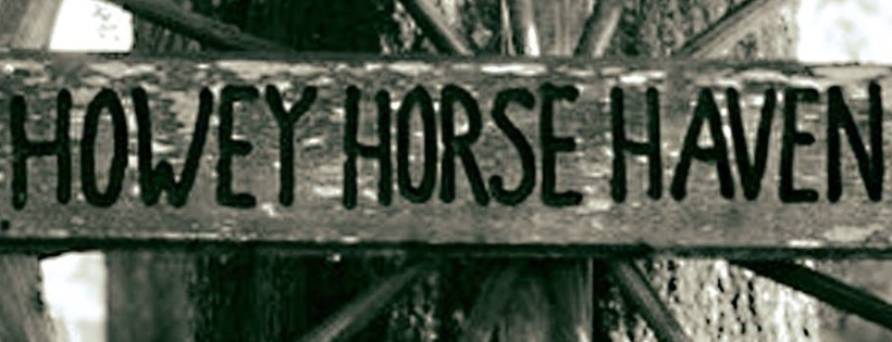 Howey Horse Haven, Inc.