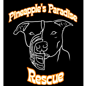Pineapple's Paradise Rescue Logo