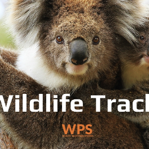 AUSTRALIAN ANIMAL CONSERVATION PTY LTD